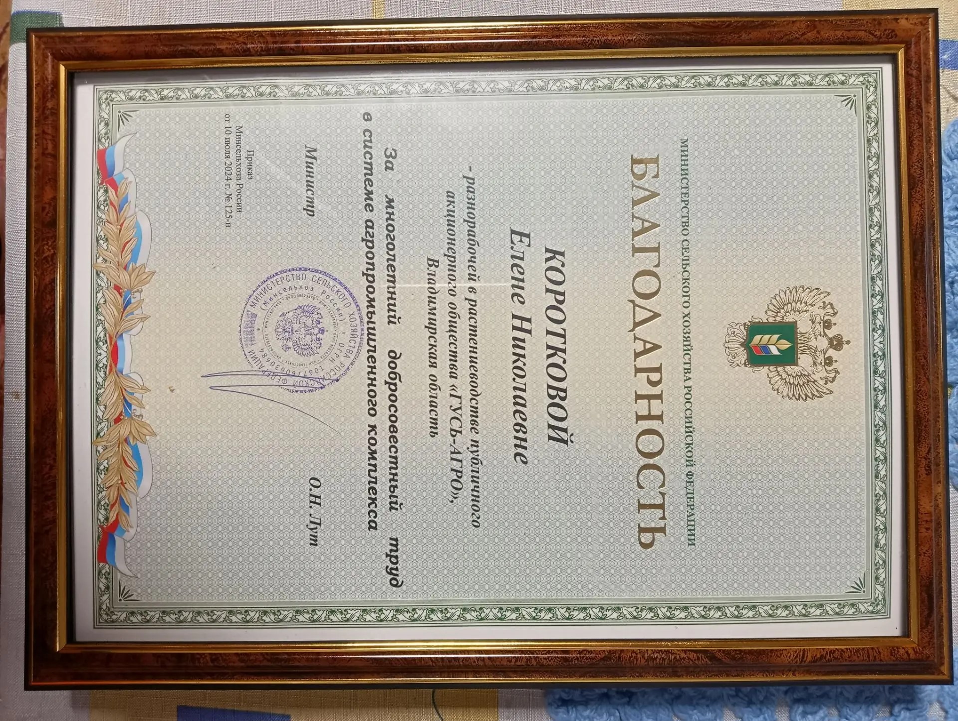 84edadc6-b9a2-4cef-8df3-b6e7408da817.jpg