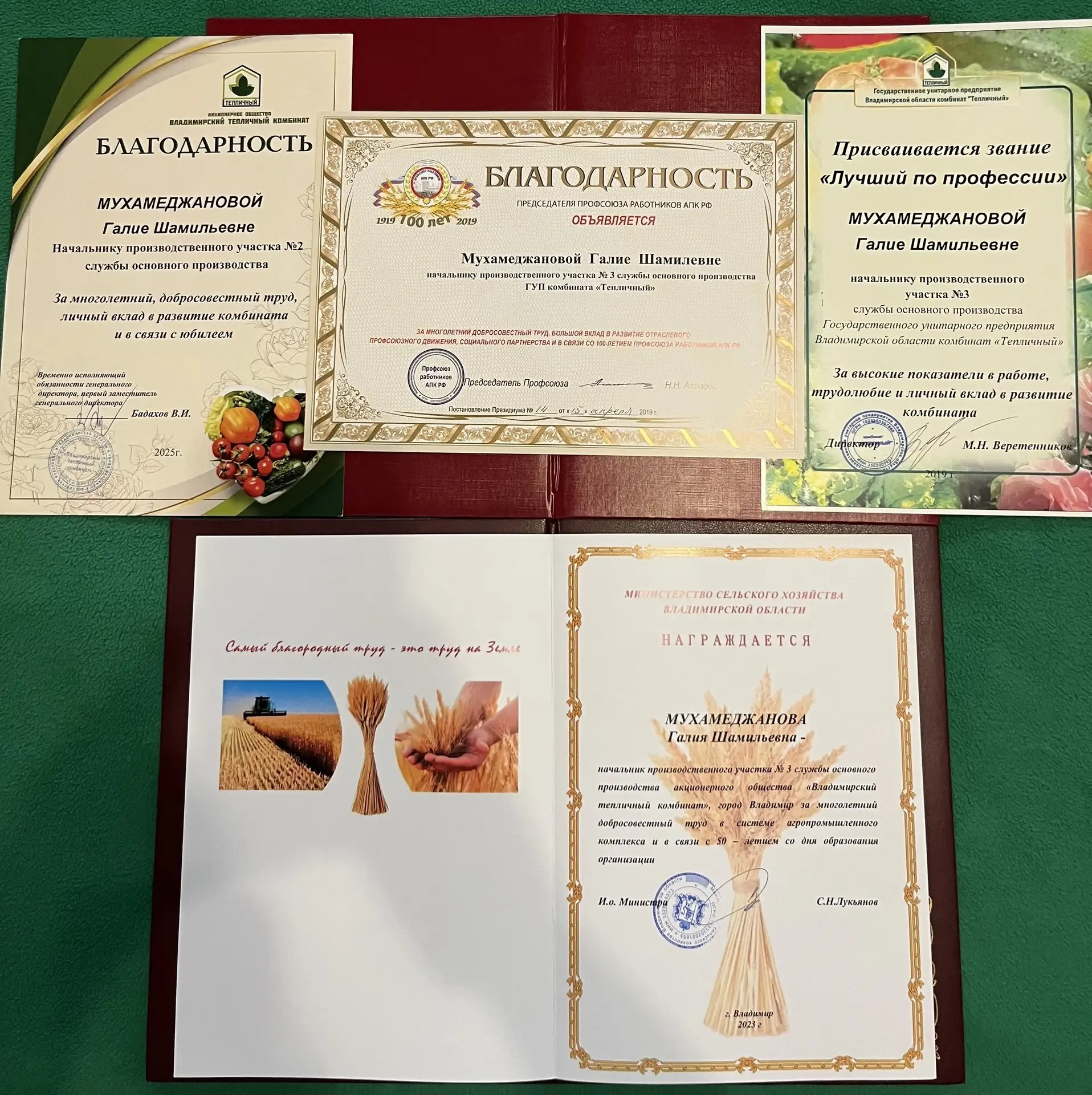 нграды Мухамеджановой Галии.png